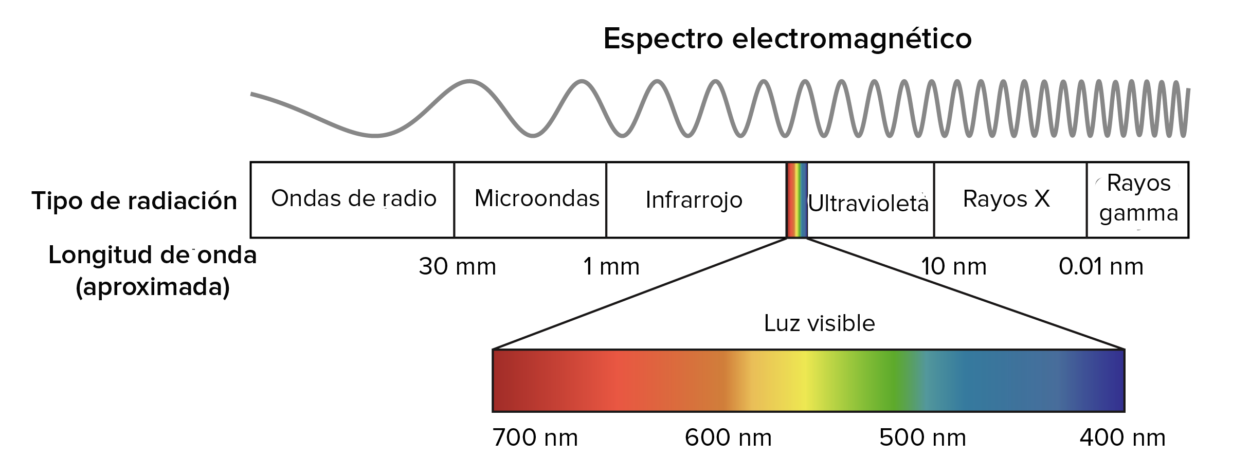Espectro luz - Light spectrum